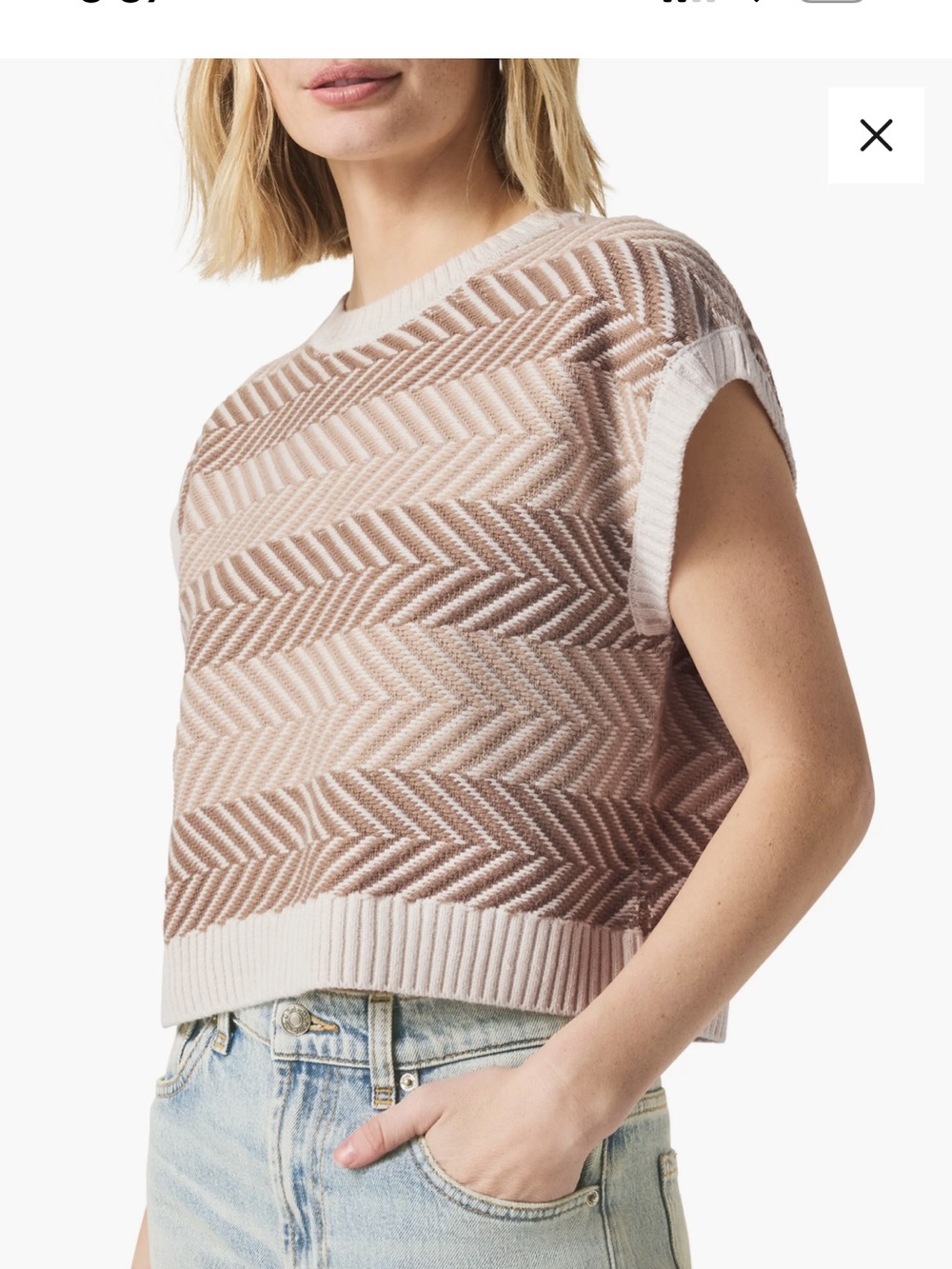 Splendid Chevron Knit Sleeveless Sweater in Cream & Taupe